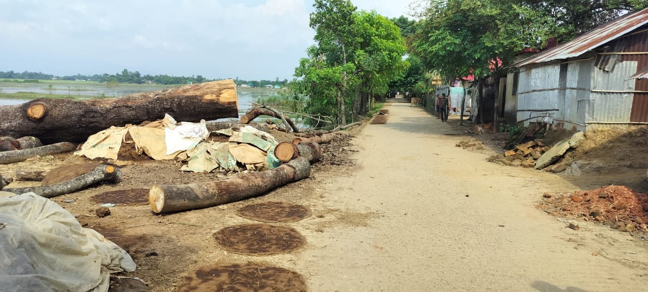দোয়ারাবাজারে অবৈধ ভাবে বসত ঘরসহ দোকান পার্ট নির্মান ও রাস্তার গাছ কাটার অভিযোগ