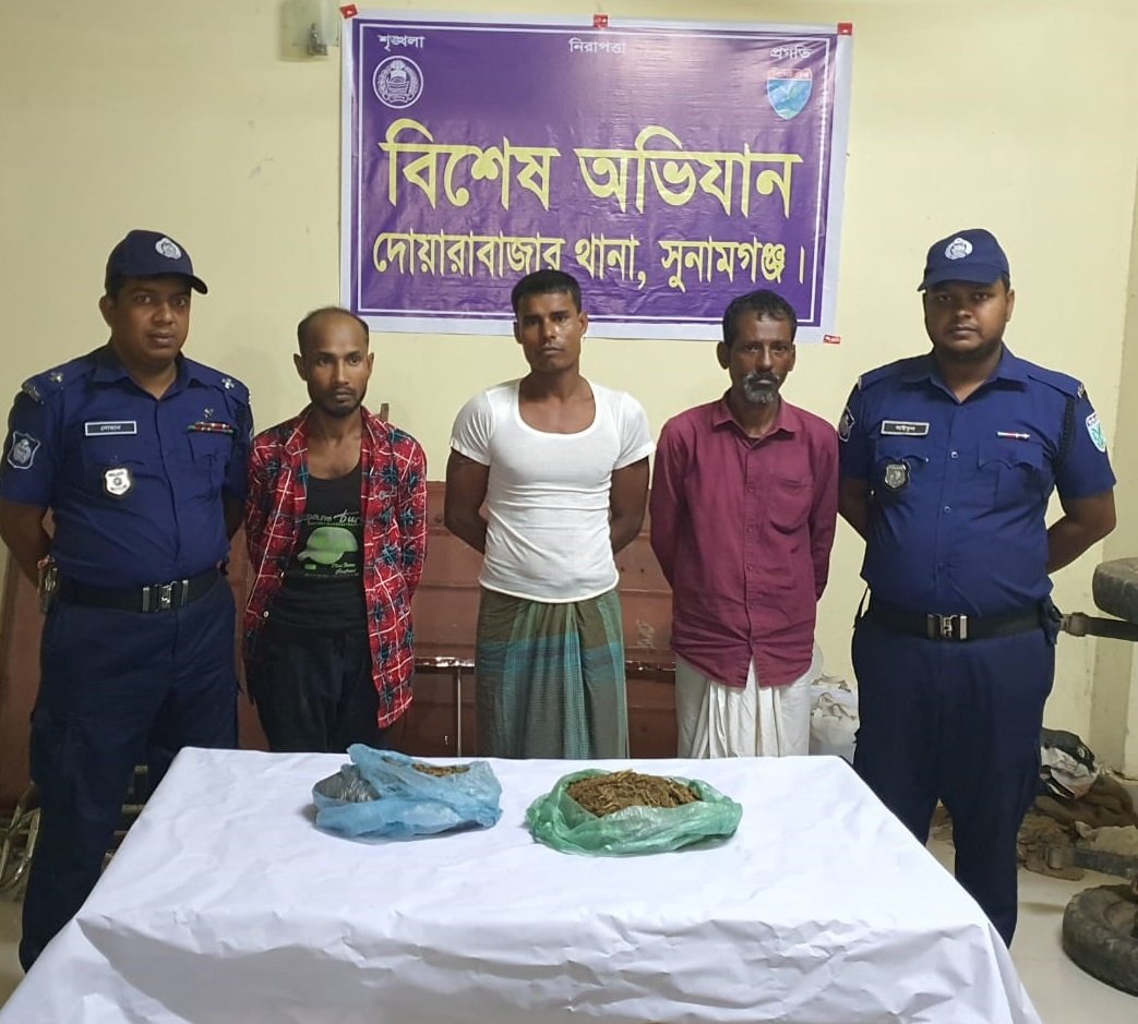 দোয়ারাবাজারে পুলিশের অভিযানে গাঁজাসহ  আটক-৩