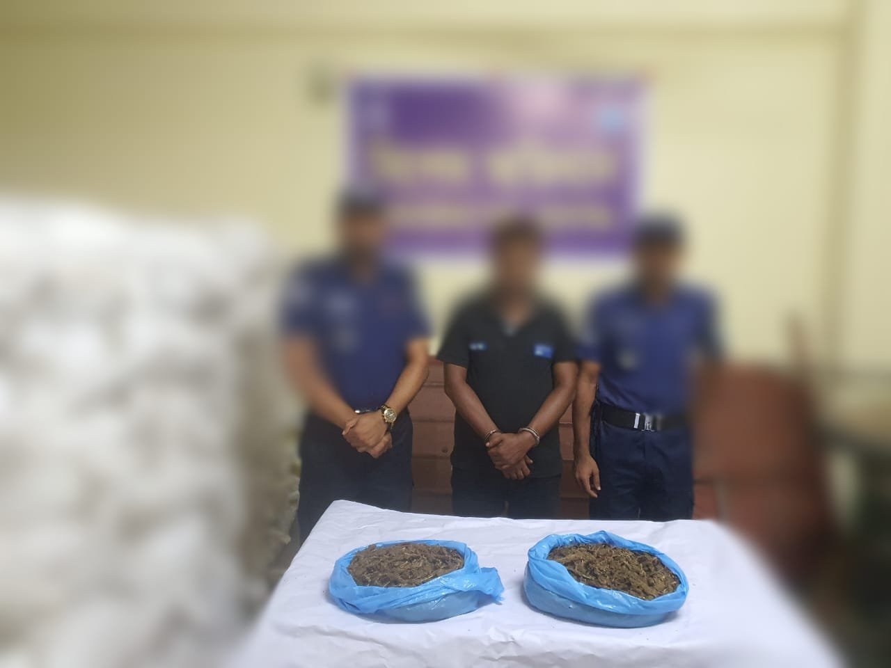 দোয়ারাবাজারে গাঁজা কারবারি আটক