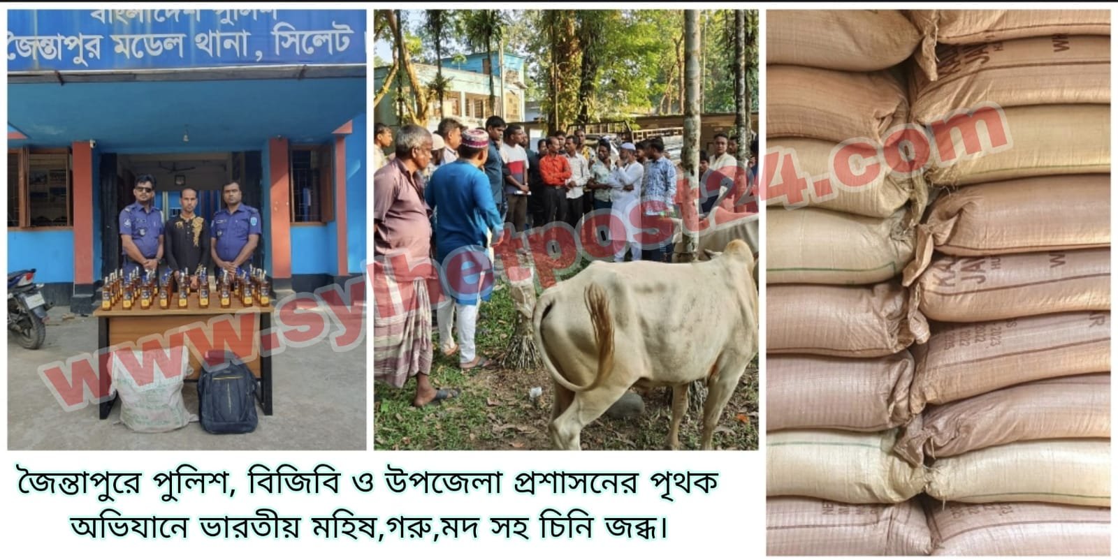জৈন্তাপুরে ভারতীয় মহিষ,গরু, মদ সহ চিনি জব্ধ