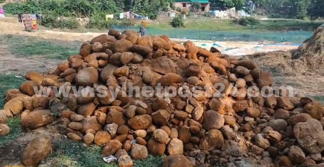 জৈন্তাপুরের গোয়াবাড়ী থেকে নিষিদ্ধ লালপাথর বহনকারী দুটি ডিআই ট্রাক আটক