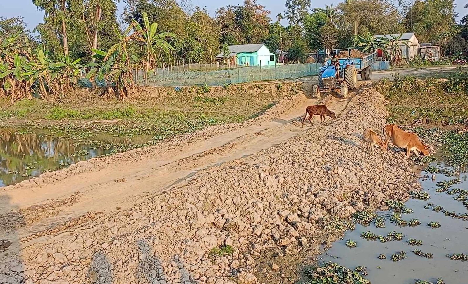 নবীগঞ্জে ফসলি জমি খনন ও এরা বরাক নদীত বাঁধ দিয়ে মাটি বিক্রি! ইউএনও বলেছেন- ব্যবস্থা নেওয়া হবে!