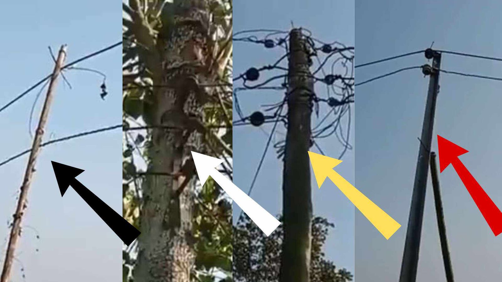 ছাতকে ঝুঁকিপূর্ণ বিদ্যুতের খুটি¬মারা গেছে  গরু ও শেয়াল আহত দুই কিশোর তবুও ব্যবস্থা নেয়নি কতৃপক্ষ