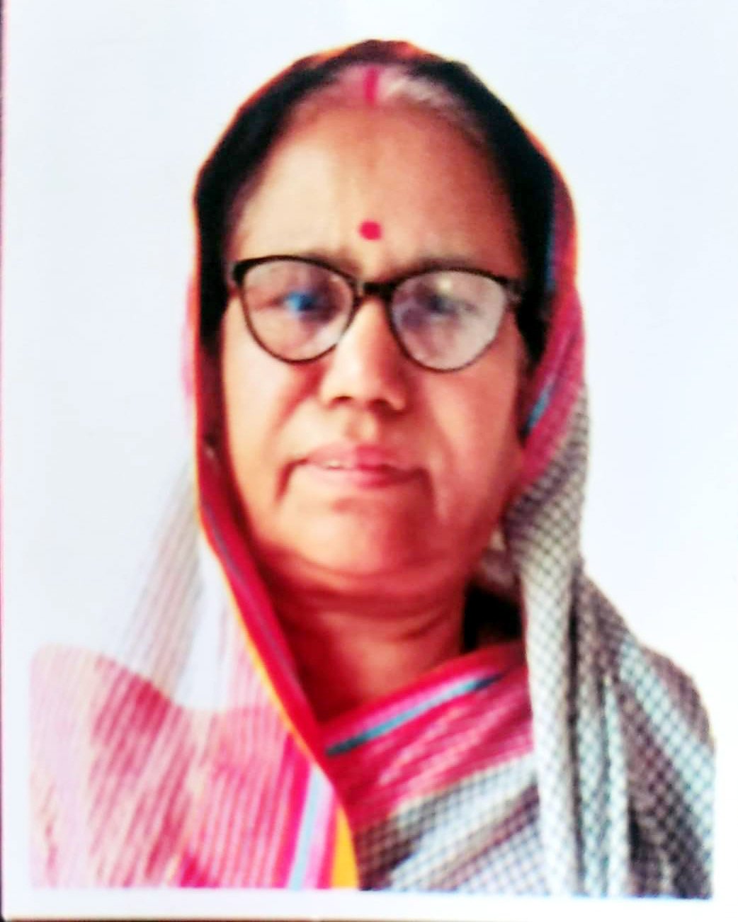 সাংবাদিক দেবুর মা আর নেই, ইমজার শোক