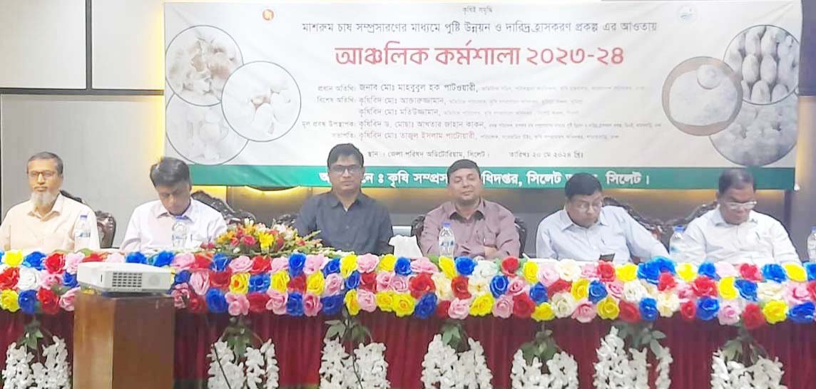 সিলেটে  মাশরুম চাষ বিষয়ক আঞ্চলিক কর্মশালা অনুষ্ঠিত