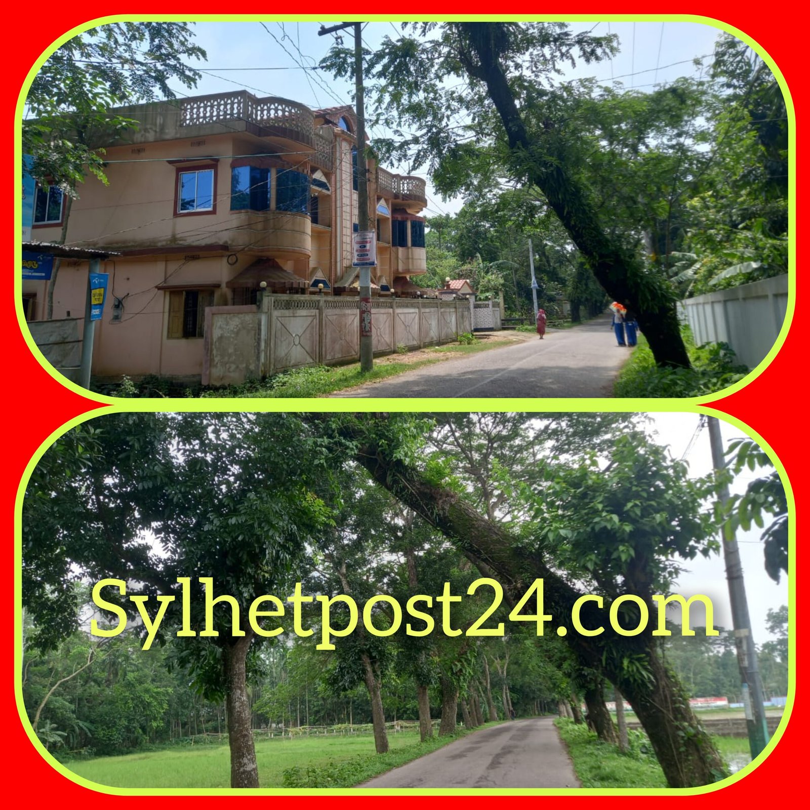 গোয়ালাবাজার থেকে খাদিম পুর রোডের রাস্তার দুই পাশে গাছ হেলে পড়ায় দুর্ঘটনার আশঙ্কা