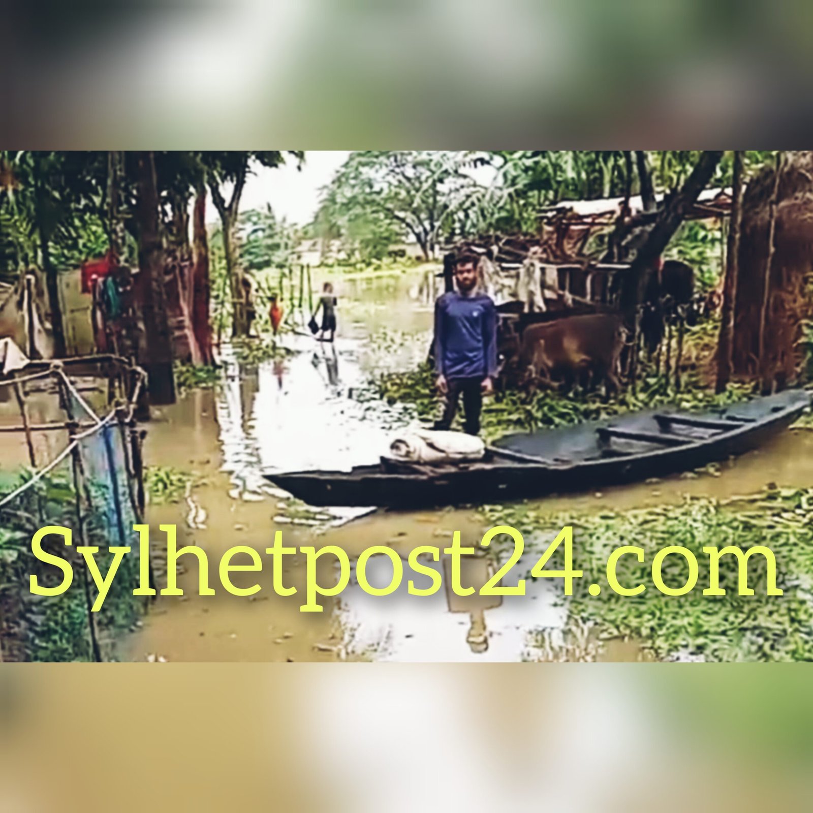ওসমানীনগরে বন্যা আশ্রয়কেন্দ্রে ২শতাধিক বাসিন্দা উপজেলা প্রশাসনের তালিকায় মাত্র ৪৩জন