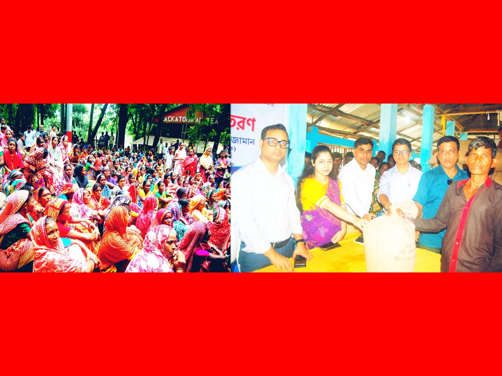 সিলেটে ১২০০ চা-শ্রমিকের মধ্যে জিআর চাল বিতরণ