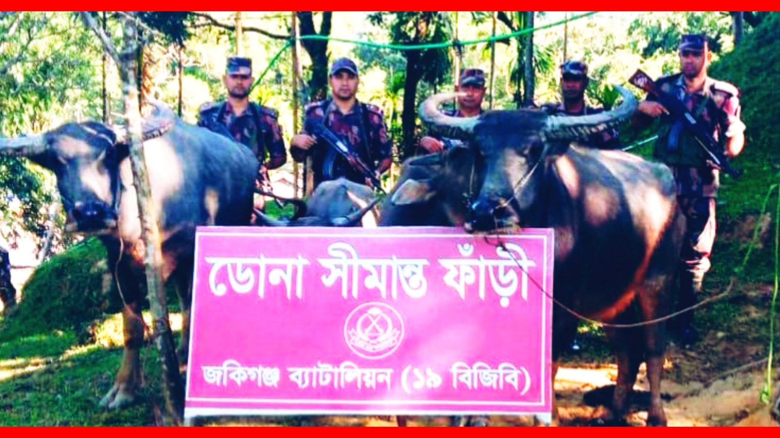 ১৯ বিজিবি’র অভিযানে ভারতীয় কসমেটিকস, মদ ও পশুসহ প্রায় অর্ধ কোটি টাকার চোরাই পণ্য আটক
