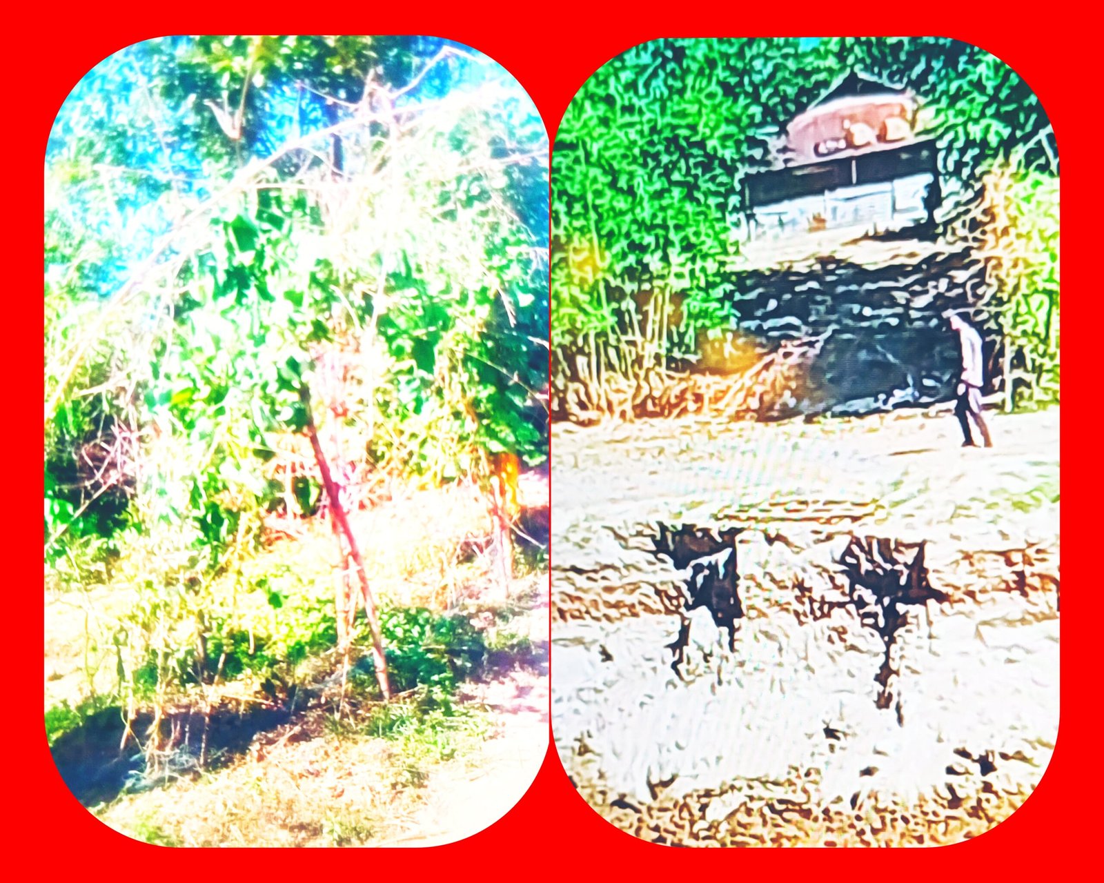 গোয়াইঘাটে অবৈধভাবে বালু উত্তোলন: আপত্তি দিতে গেলে প্রাণে মারার হুুমকি