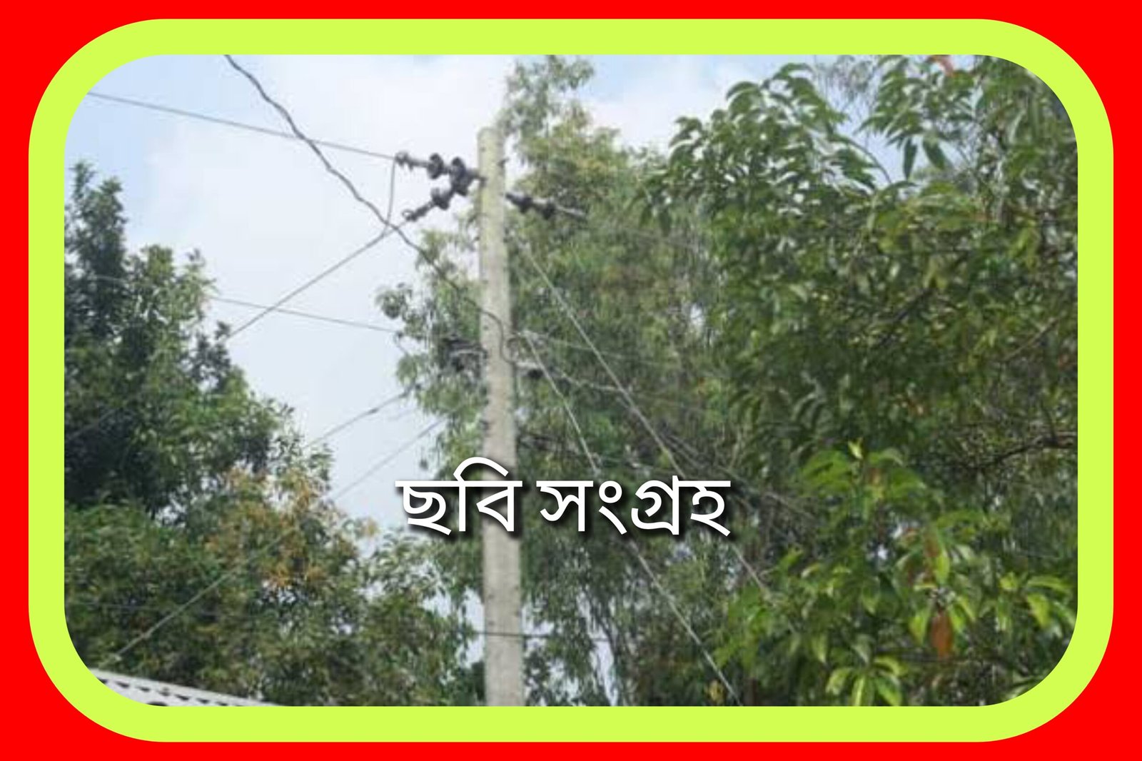 কুলাউড়ায় চা বাগানের উপর দিয়ে অবৈধভাবে বিদ্যুৎ লাইন স্থাপনের চেষ্টা 