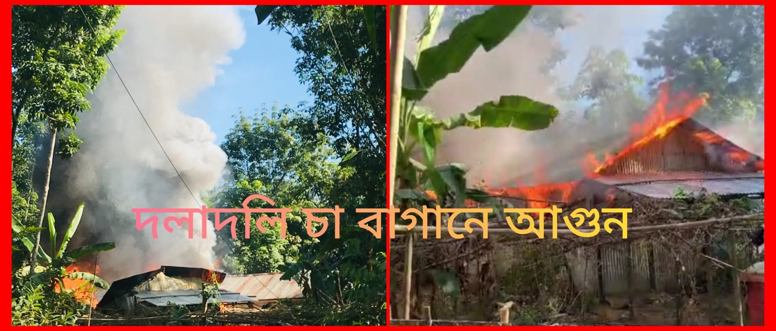 সিলেটের দলদলি চা বাগান এলাকায় ভয়াবহ অগ্নিকাণ্ড ৫ লক্ষ টাকার ক্ষতি