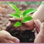 বৃক্ষরোপণ, জীববৈচিত্র্য সংরক্ষণ ও জলবায়ু সহনশীল উন্নয়নের সমন্বিত রূপরেখা