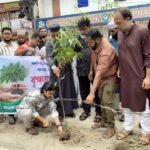 বৃহত্তর মদিনা মার্কেট ব্যবসায়ী সমিতির উদ্যোগে বৃক্ষরোপণ কর্মসূচি পালিত