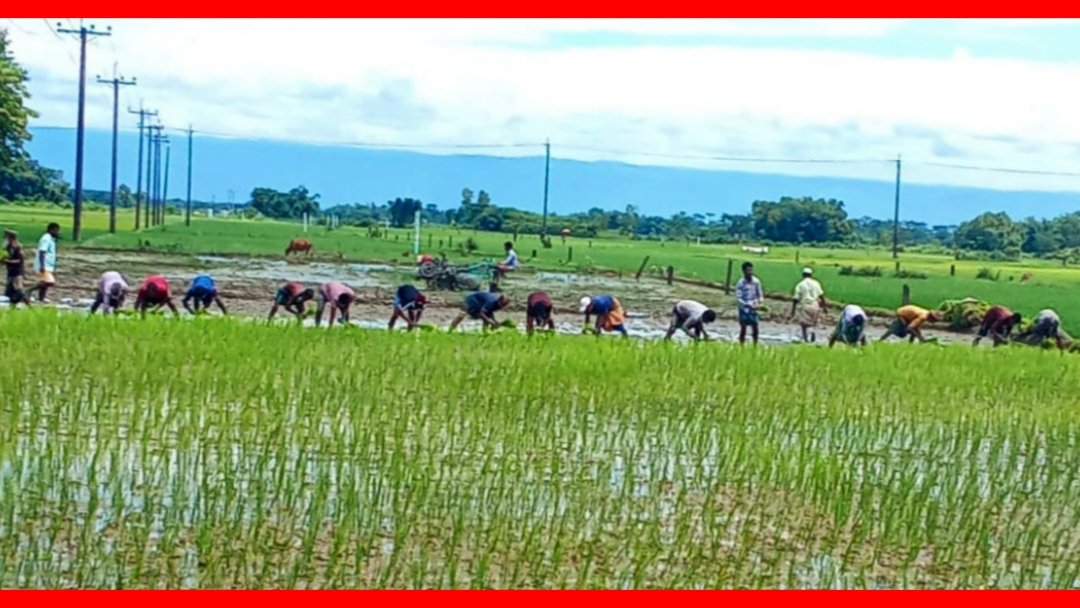 আদালতের নিষেধাজ্ঞা অমান্য করে গোয়াইনঘাটে জমি দখলের চেষ্টা, ভুক্তভোগী পরিবার নিরাপত্তাহীনতায়