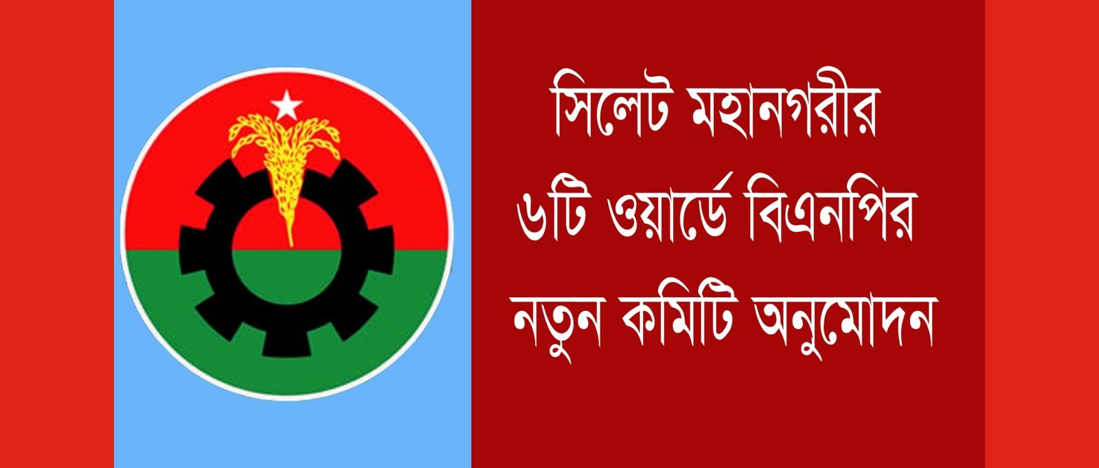 সিলেট মহানগরীর ৬টি ওয়ার্ডে বিএনপির নতুন কমিটি অনুমোদন